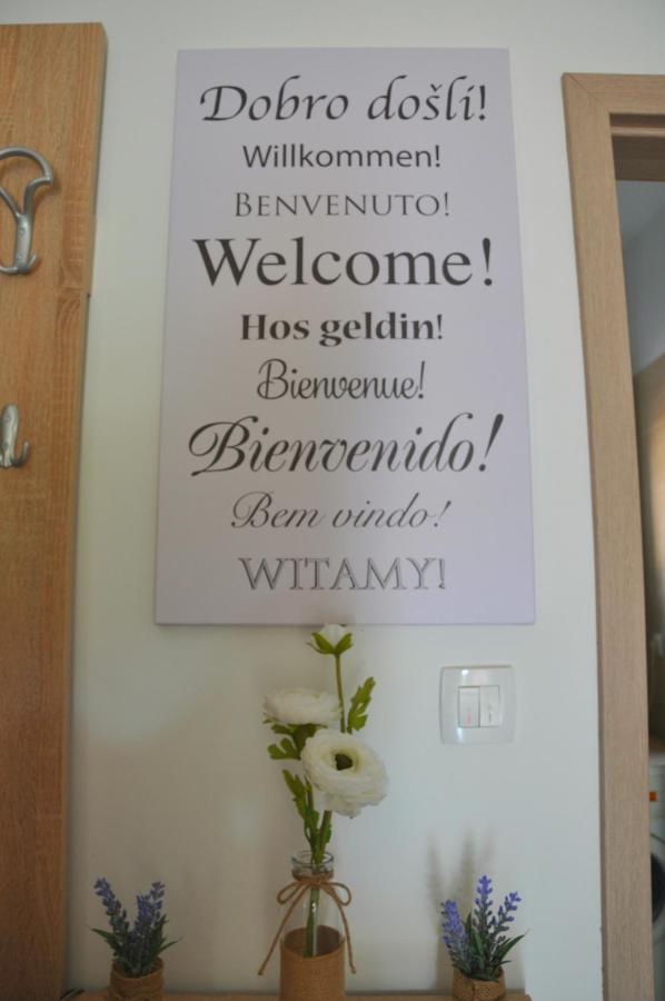Apartman Tea Privlaka  Extérieur photo